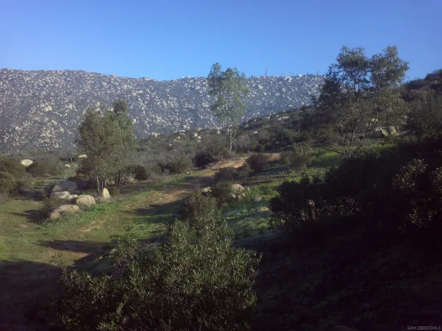 a view of a dry yard