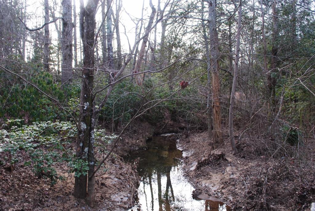 1039 North Moore Road Rising Fawn, GA 30738 - Photo 3 of 70 DSC_0107 (1024x685)