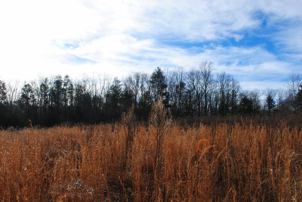 1039 North Moore Road Rising Fawn, GA 30738 - Photo 36 of 70 DSC_0186 (1024x685)