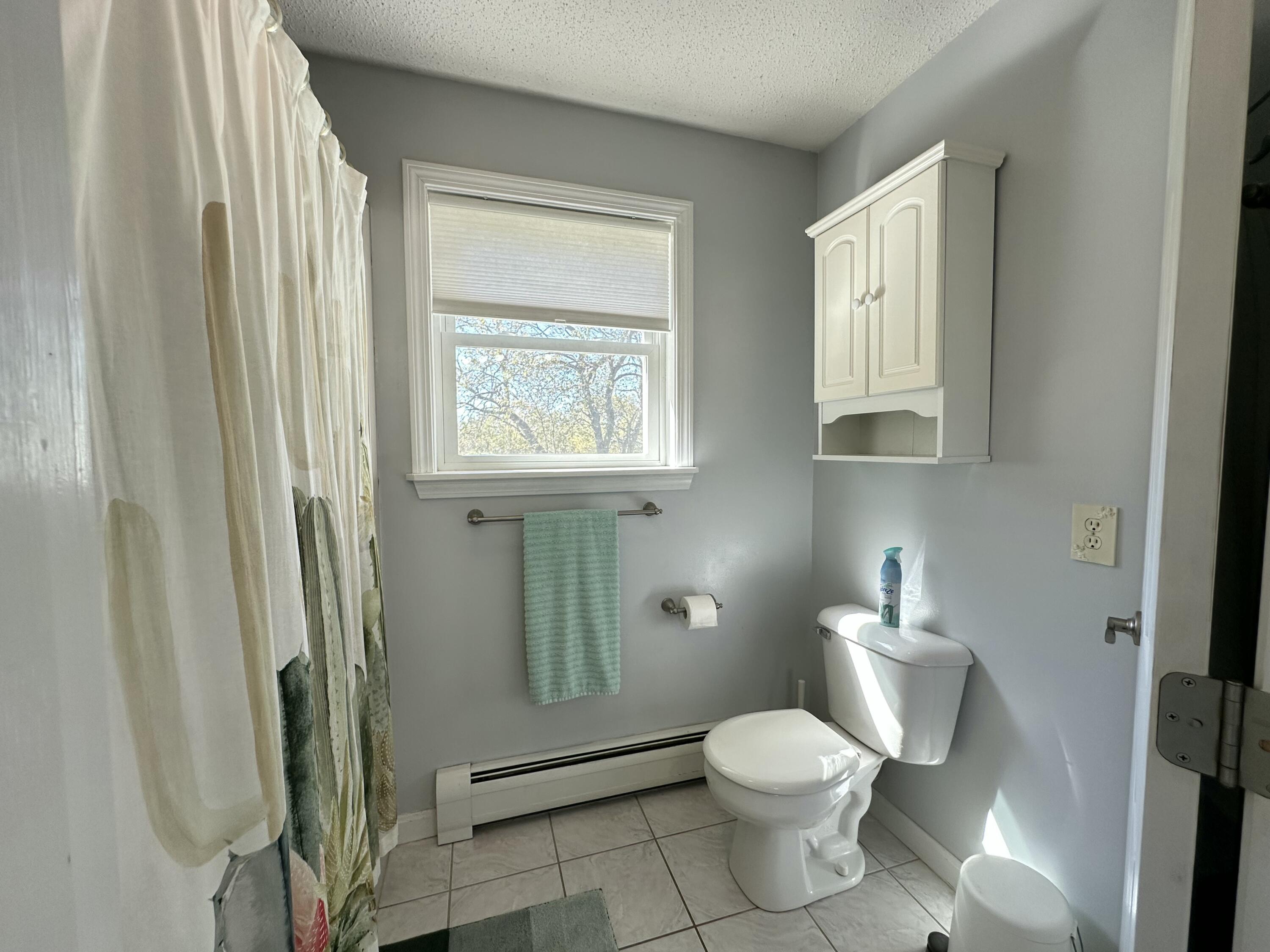818 Forest Avenue Orono, ME 04473 - Photo 26 of 80 Primary bathroom