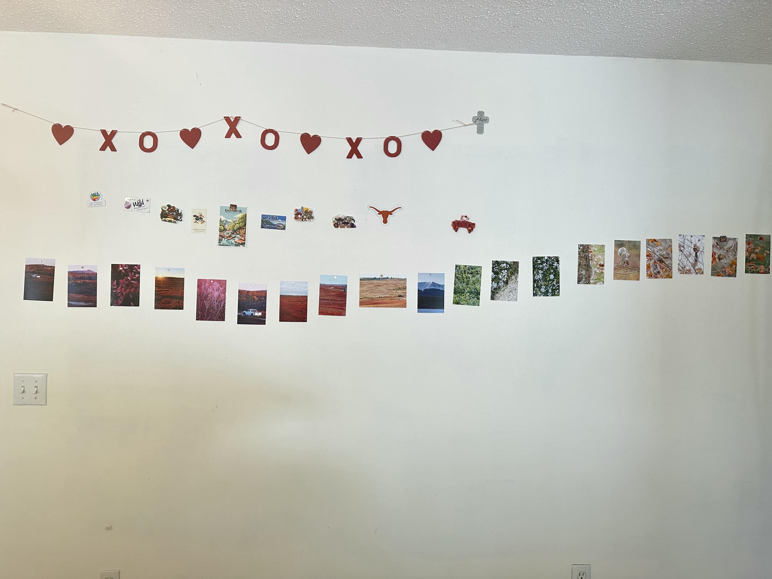 818 Forest Avenue Orono, ME 04473 - Photo 28 of 80 magnetic wall