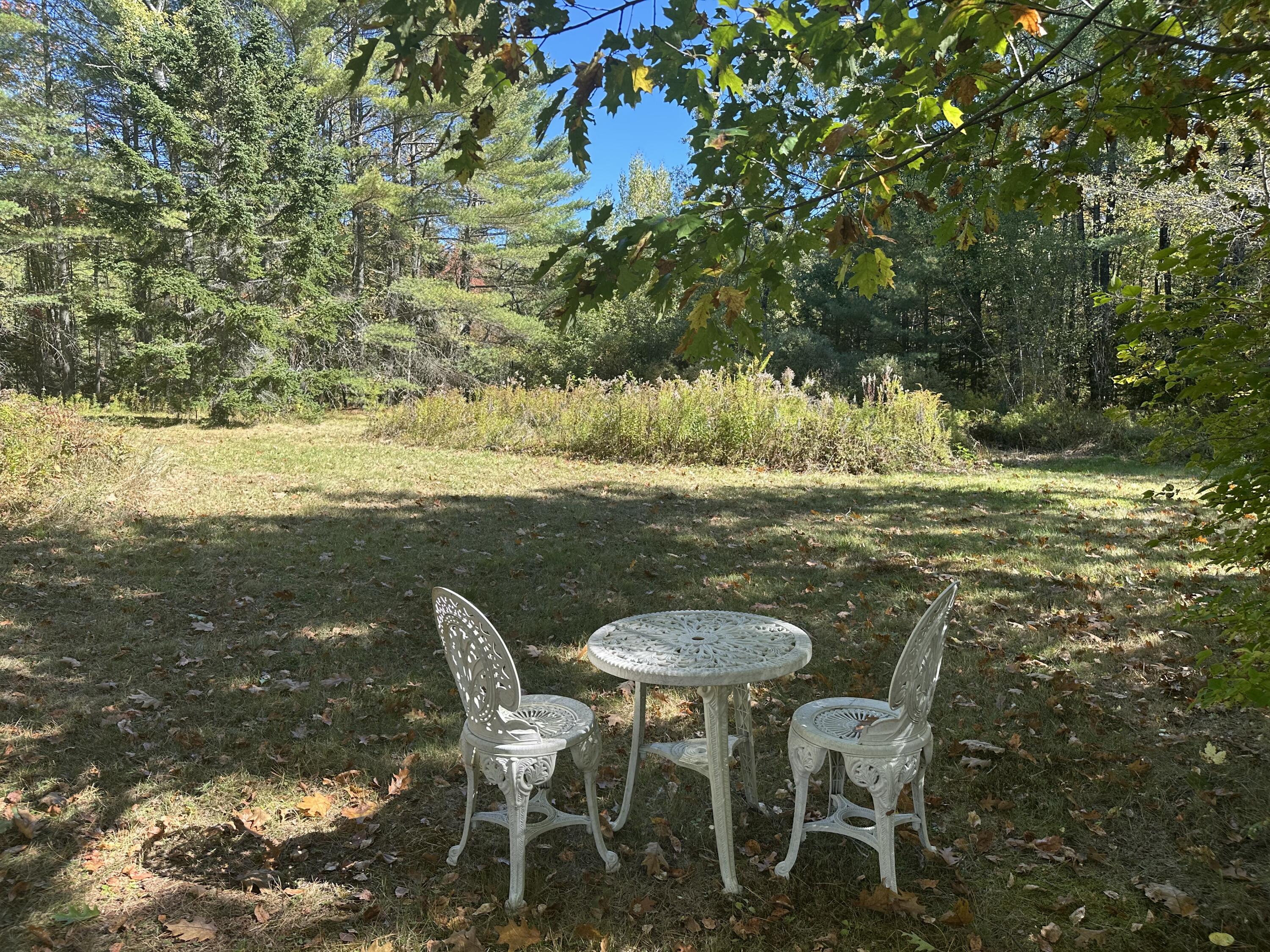 818 Forest Avenue Orono, ME 04473 - Photo 73 of 80 Lupine garden