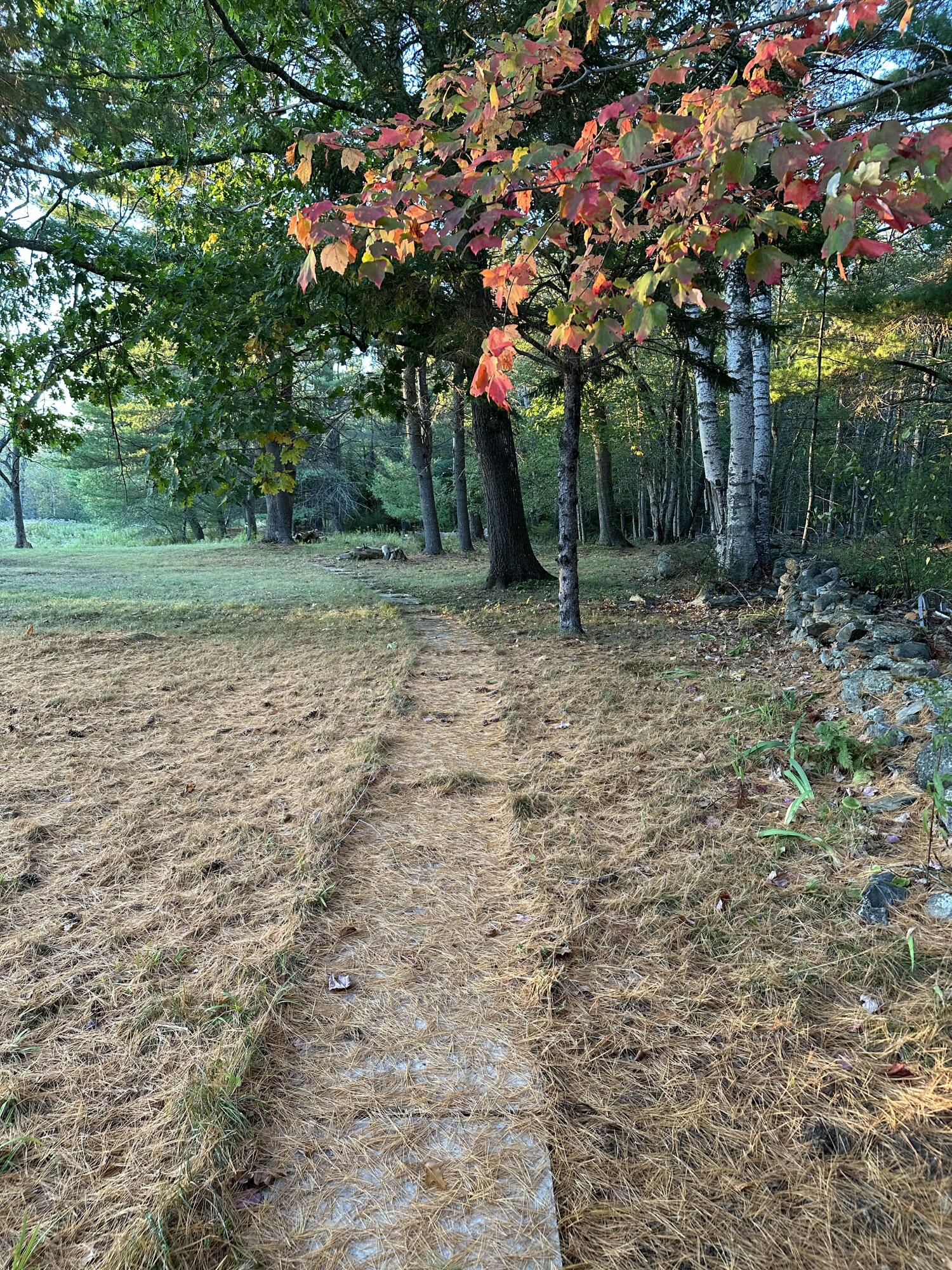 818 Forest Avenue Orono, ME 04473 - Photo 76 of 80 path into the woods