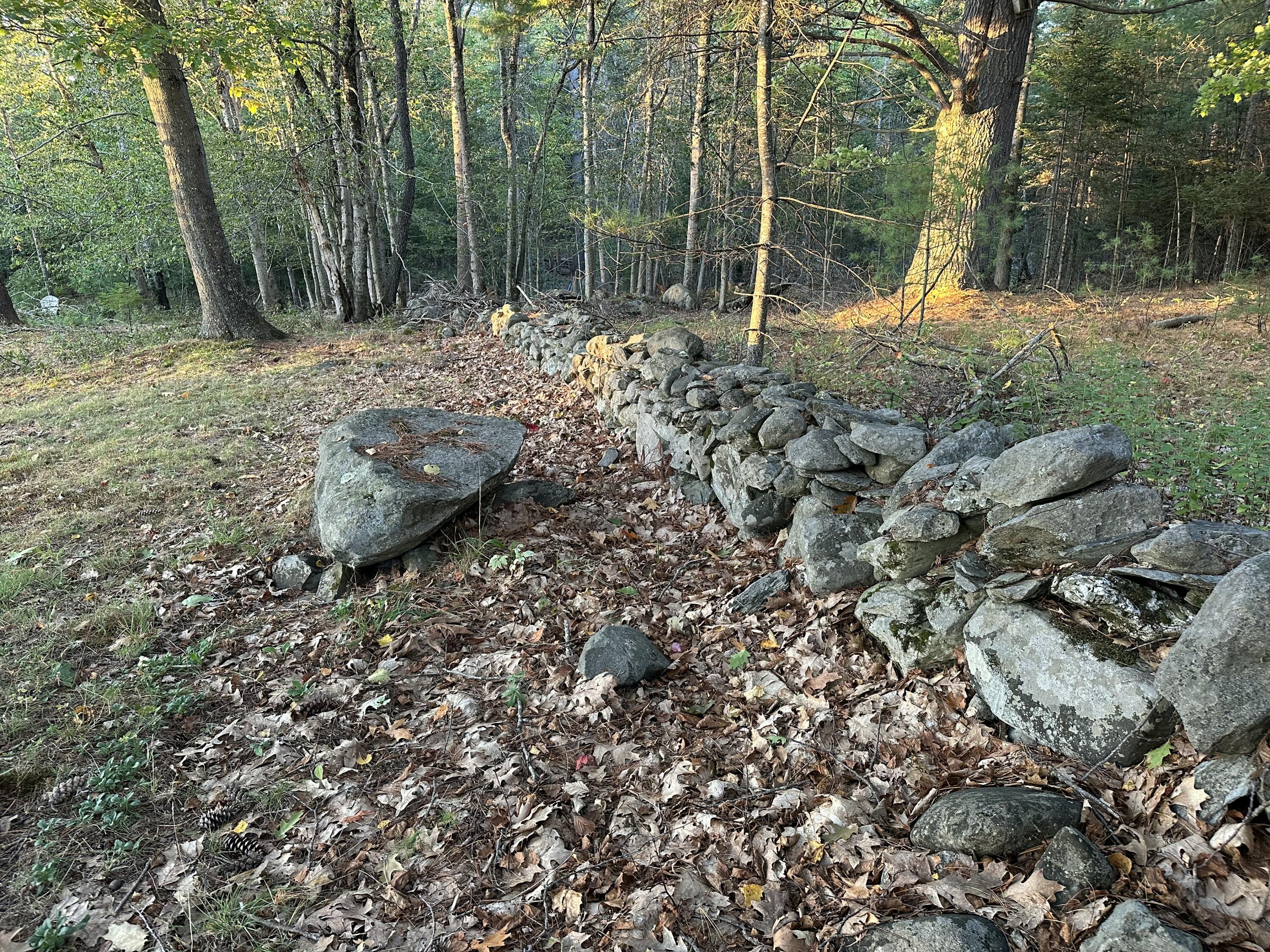 818 Forest Avenue Orono, ME 04473 - Photo 77 of 80 old rock wall