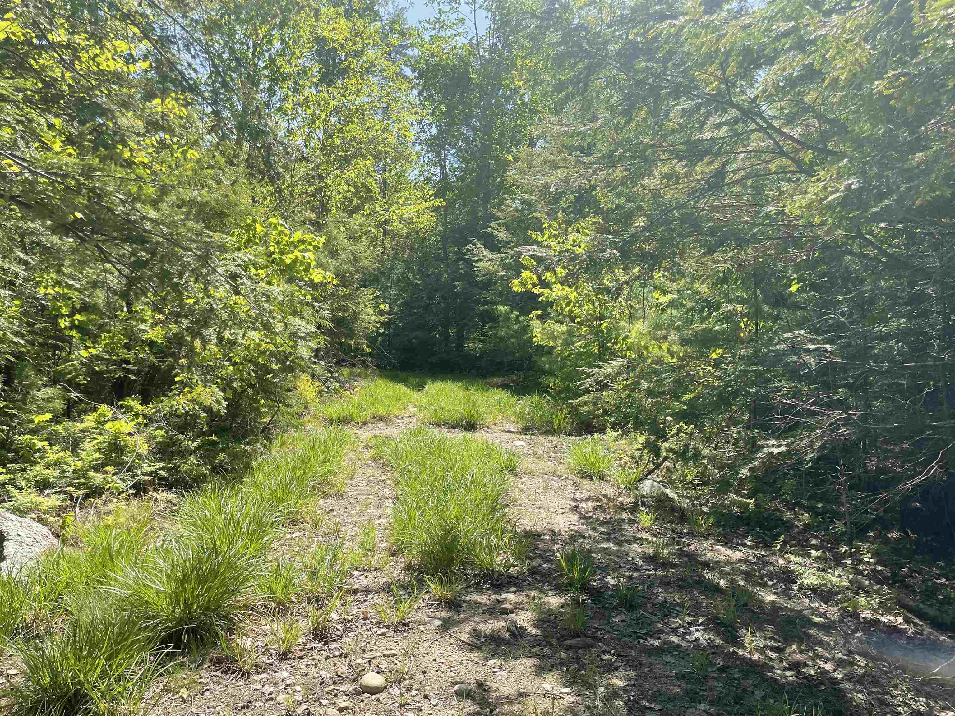 200 Old Bennington Road Greenfield, NH 03047 - Photo 31 of 40
