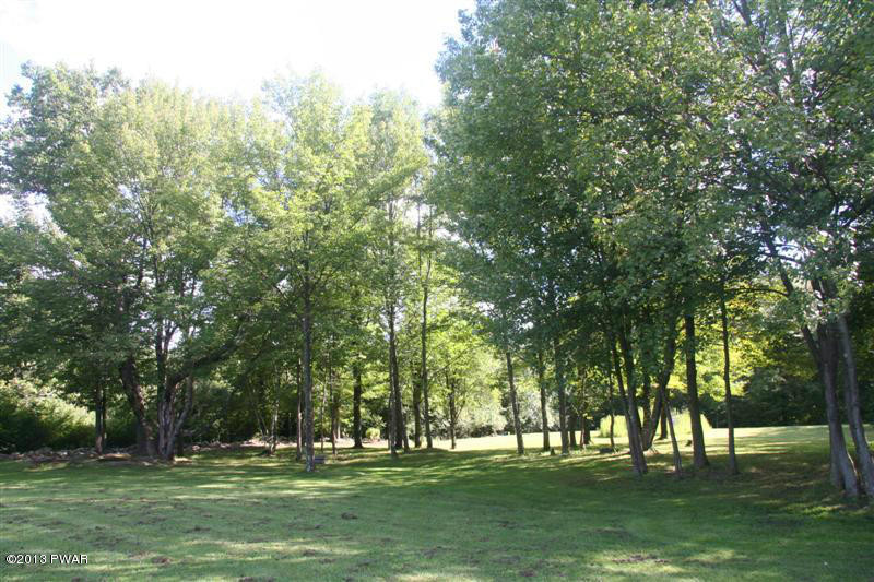 263 Lake Quinn Road Waymart, PA 18472 - Photo 47 of 50