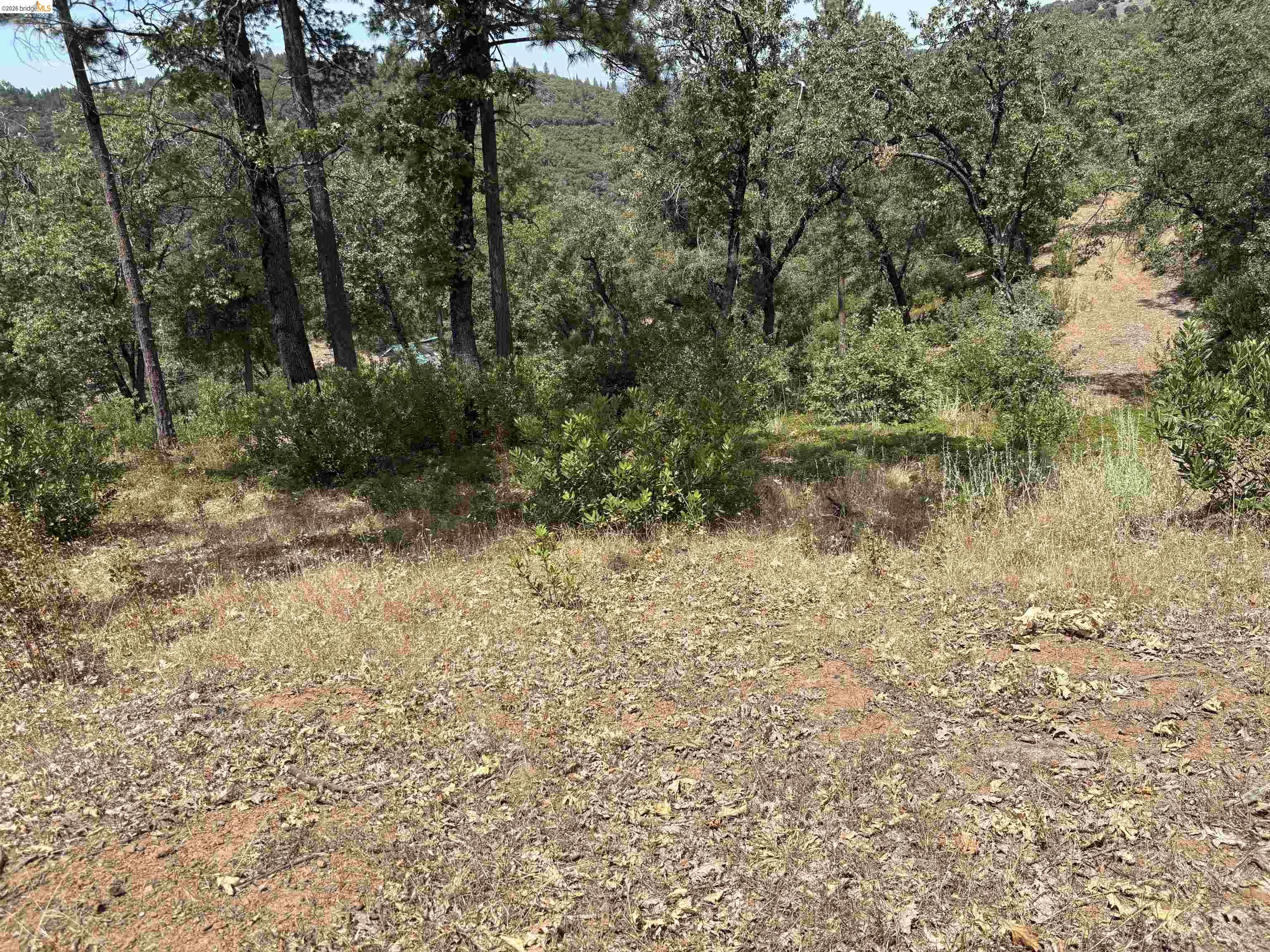 1440 Utica Powerhouse Road Murphys, CA 95247 - Photo 18 of 58 Gallery Image 18