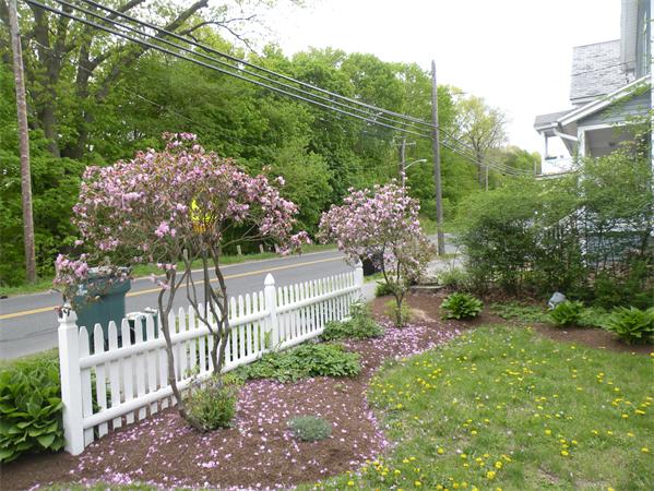 189 Riverside Drive Northampton, MA 01062 - Photo 4 of 22 Gallery Image 4