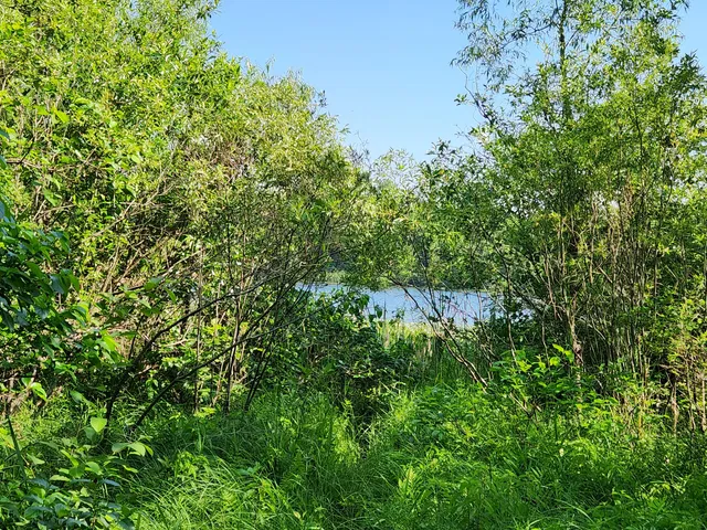 $297,000 | 6386 East Peavey Street, Walkerville, MI 49459