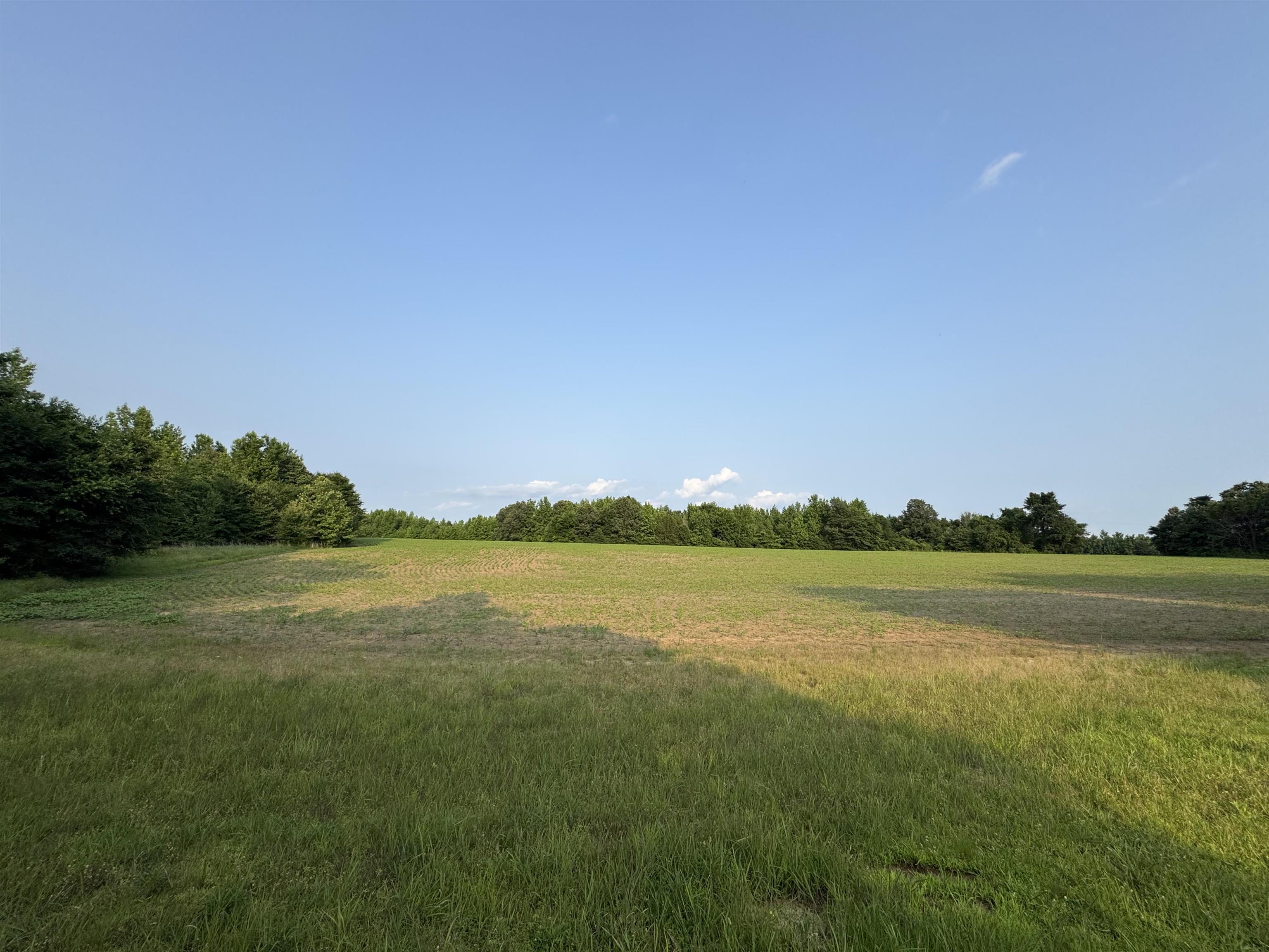 Frazier Road Rossville, TN 38066 - Photo 5 of 12 Gallery Image 5