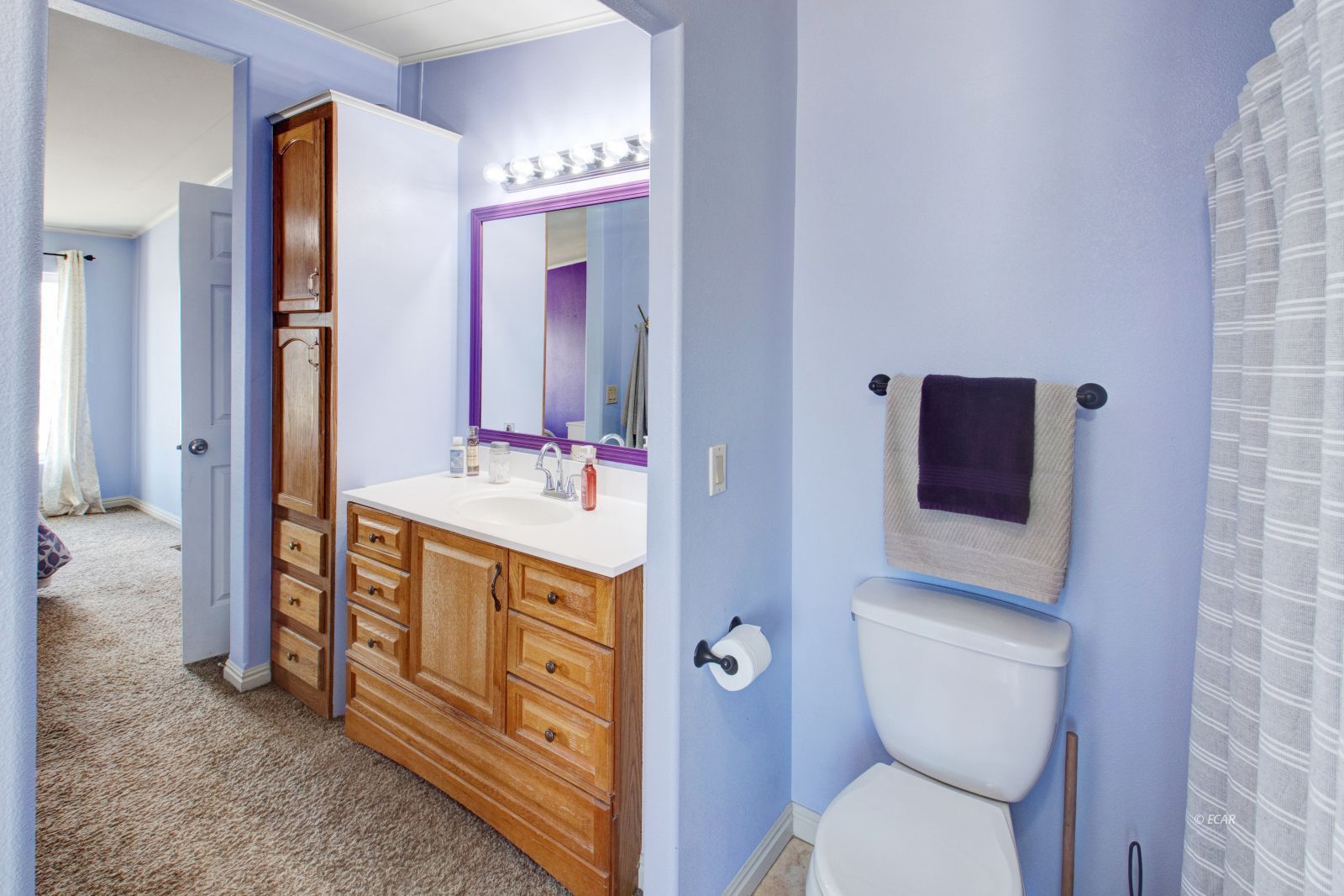 591 Spring Valley Parkway Spring Creek, NV 89815 - Photo 13 of 25 a bathroom with a toilet sink and mirror