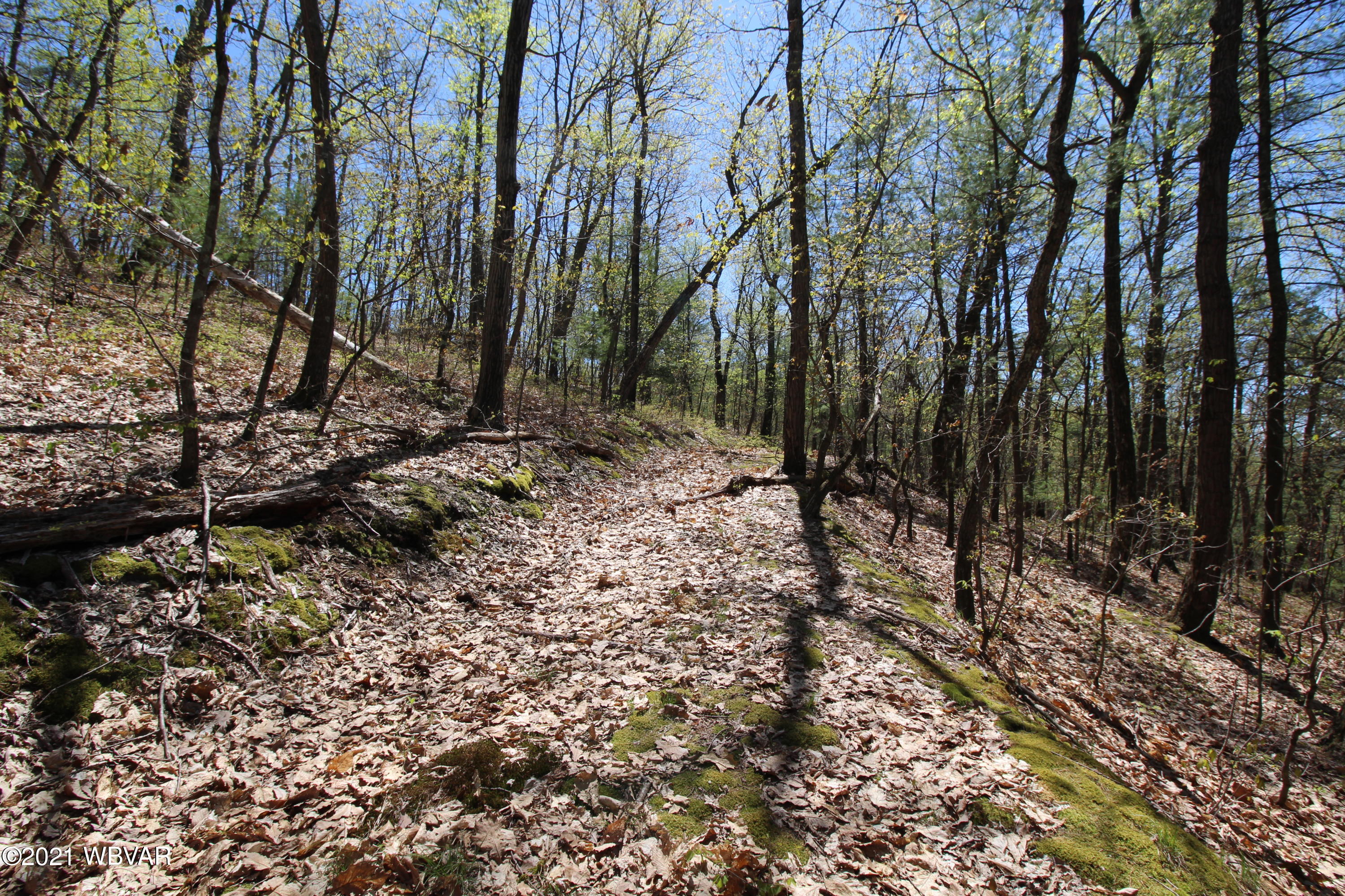 0 Lusk Run Road Mill Hall, PA 17751 - Photo 18 of 19 Gallery Image 18