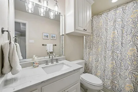 a bathroom with a sink a toilet and shower curtain