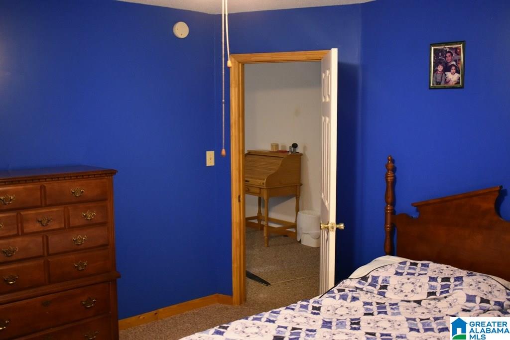 2262 Gilberts Ferry Road Ohatchee, AL 36271 - Photo 25 of 47