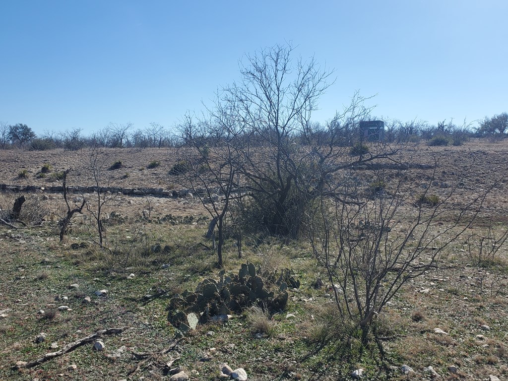 3567 Cave Wells Road, Unit 1721 Fort McKavett, TX 76841 - Photo 11 of 16 a view of a dry field with lots of trees