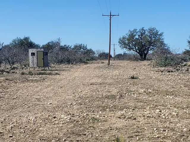 a view of a dry yard with trees