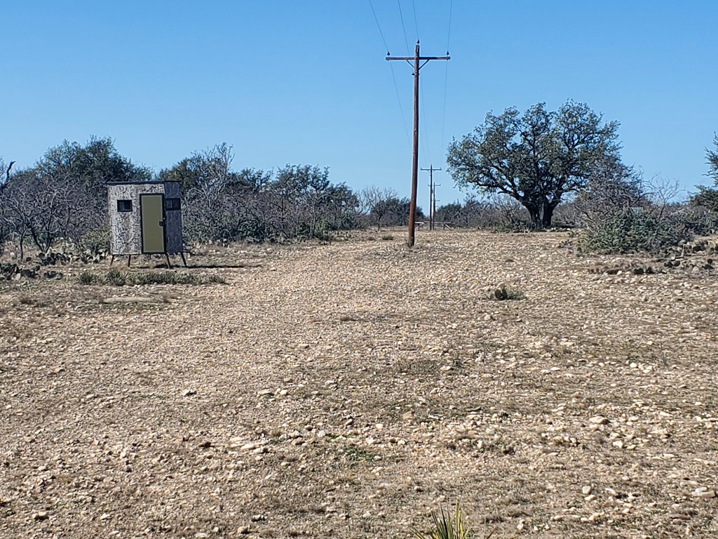 3567 Cave Wells Road, Unit 1721 Fort McKavett, TX 76841 - Photo 12 of 16 a view of a dry yard with trees