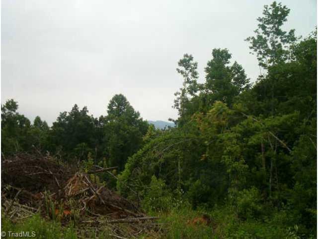 0 Dalton Loop Pinnacle, NC 27043 - Photo 3 of 3 Other.