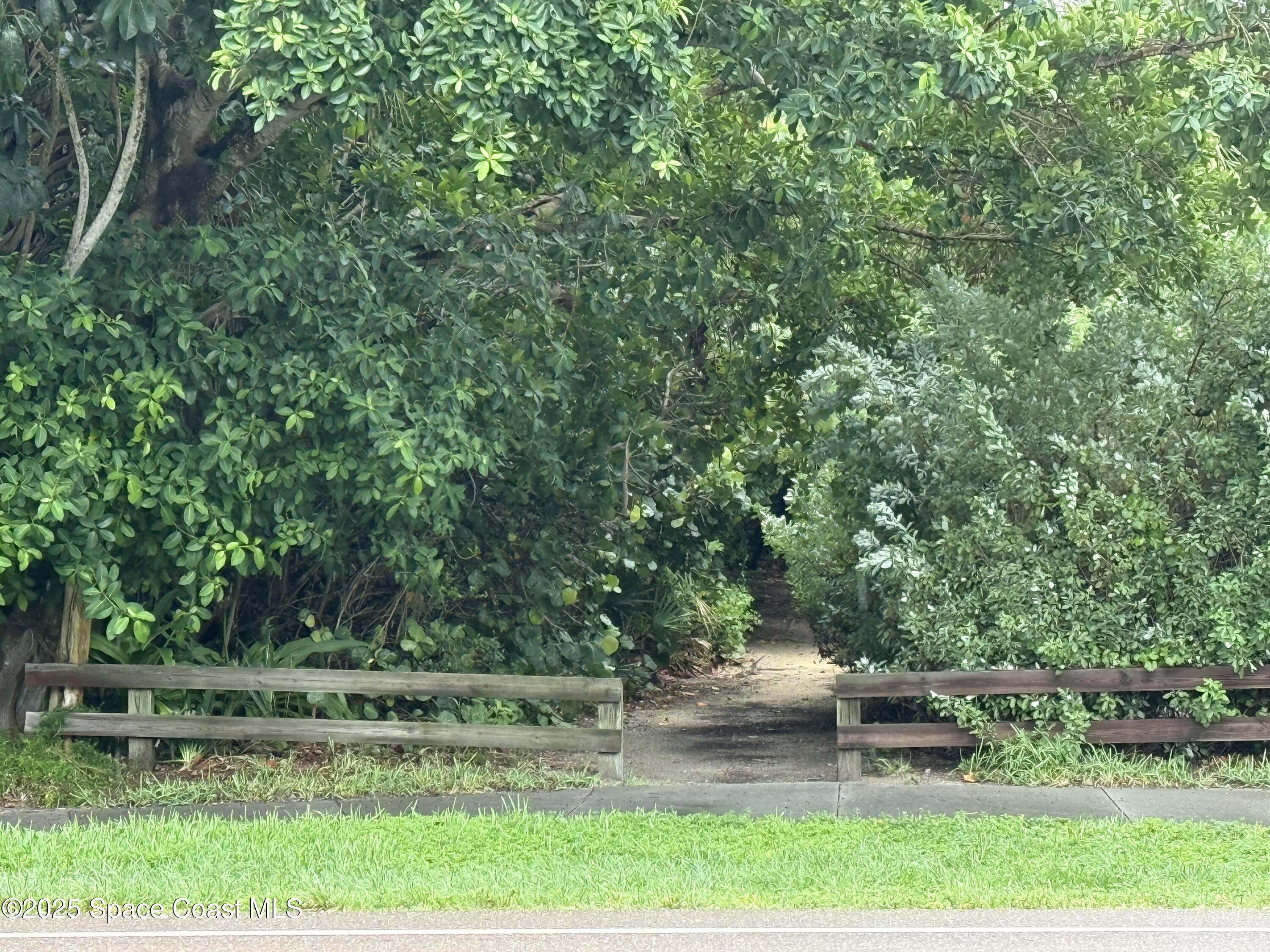 1700 South Atlantic Avenue, Unit 104 Cocoa Beach, FL 32931 - Photo 41 of 55 a view of a yard with large trees