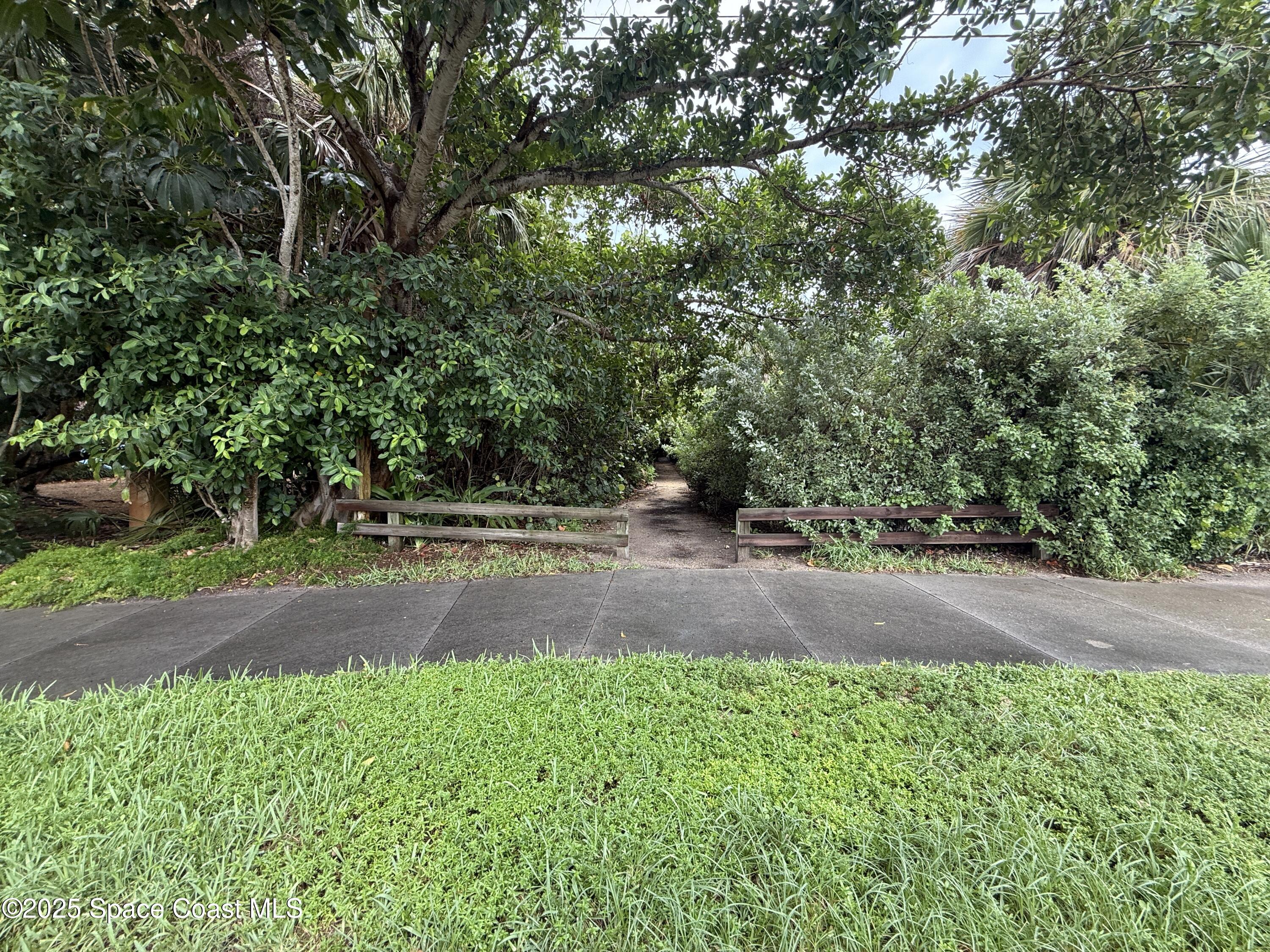 1700 South Atlantic Avenue, Unit 104 Cocoa Beach, FL 32931 - Photo 42 of 55 a view of yard with tree