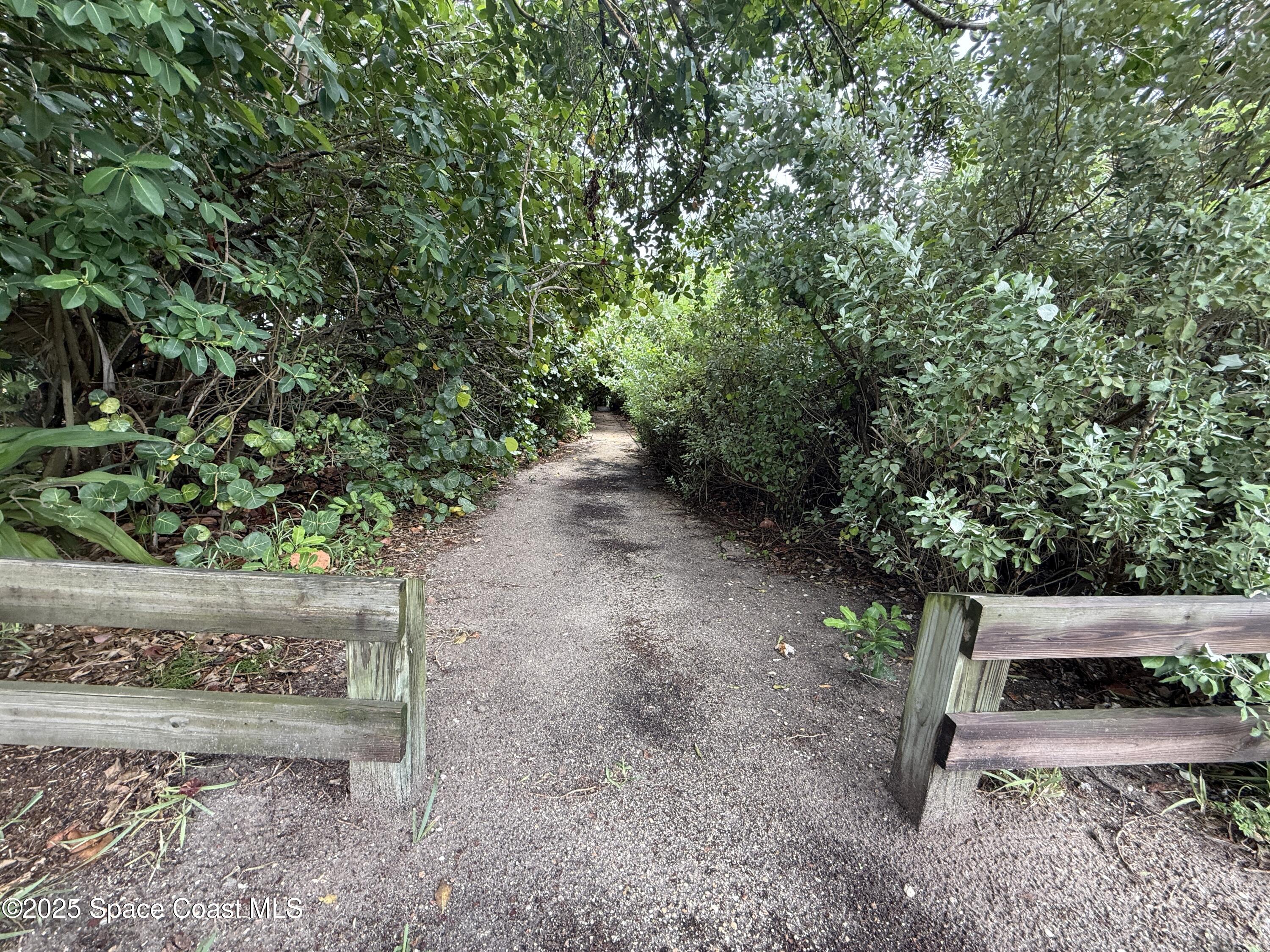 1700 South Atlantic Avenue, Unit 104 Cocoa Beach, FL 32931 - Photo 43 of 55 a view of a yard with plants and trees