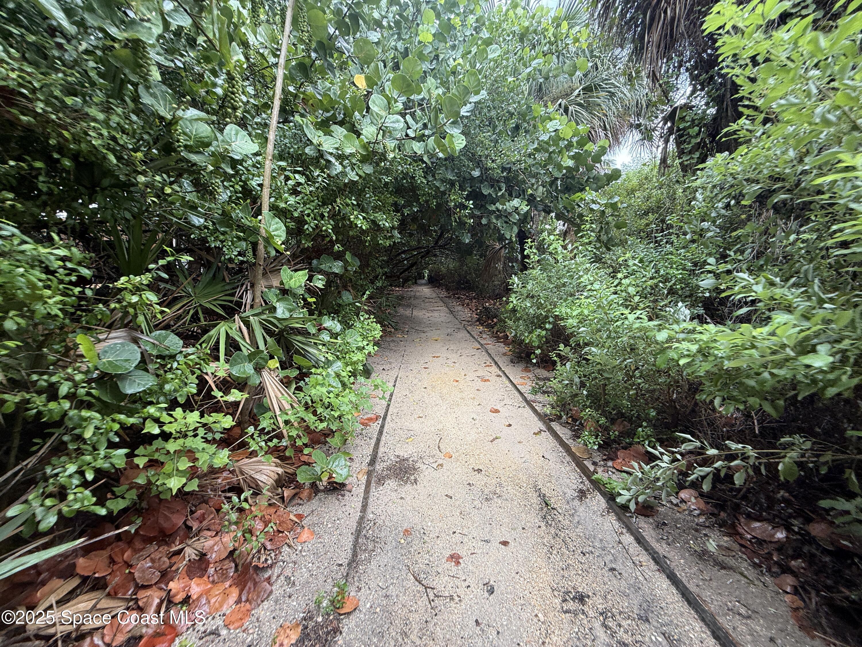1700 South Atlantic Avenue, Unit 104 Cocoa Beach, FL 32931 - Photo 45 of 55 a view of a pathway both side of yard