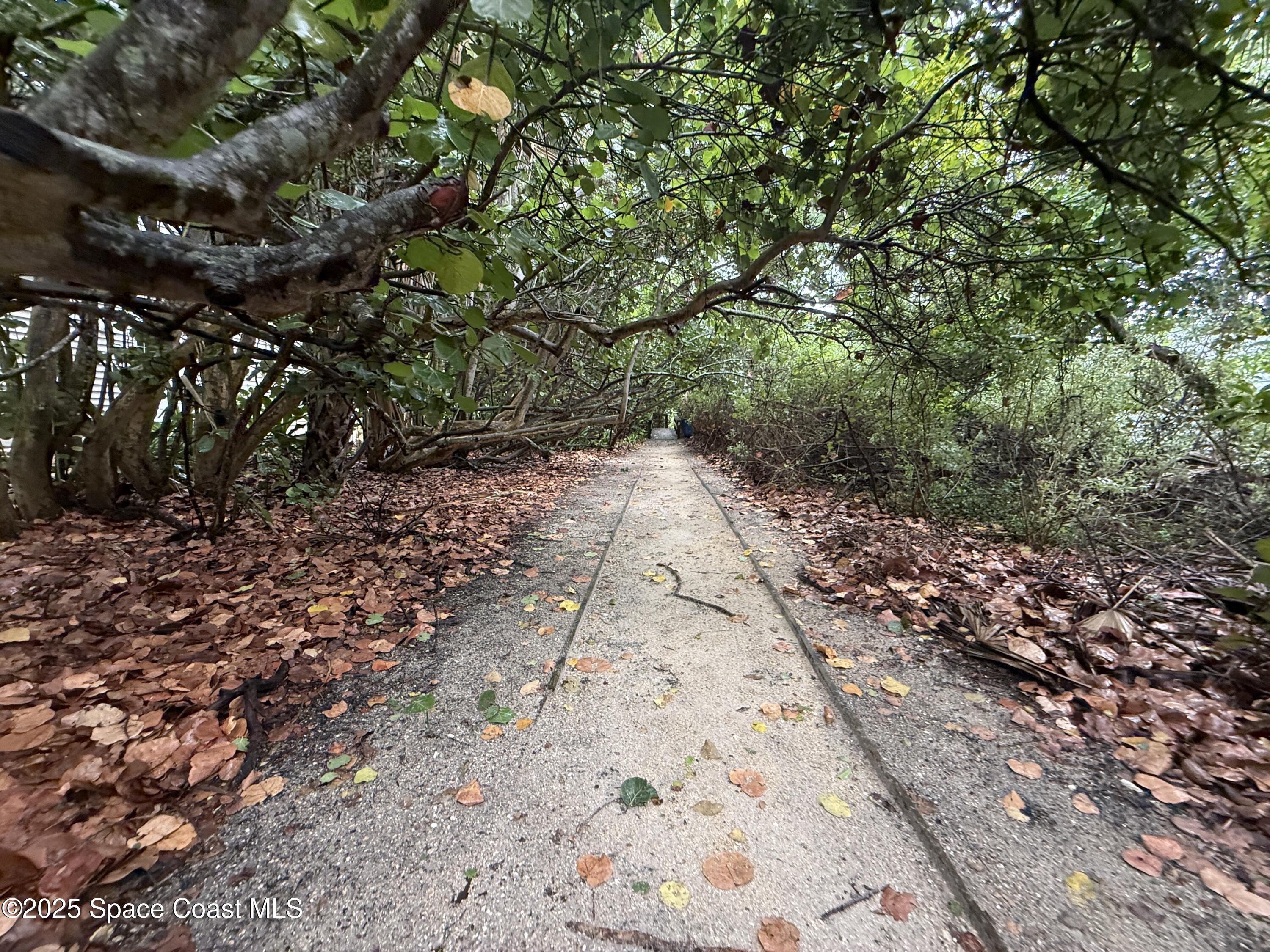 1700 South Atlantic Avenue, Unit 104 Cocoa Beach, FL 32931 - Photo 46 of 55 a view of a yard with plants and trees