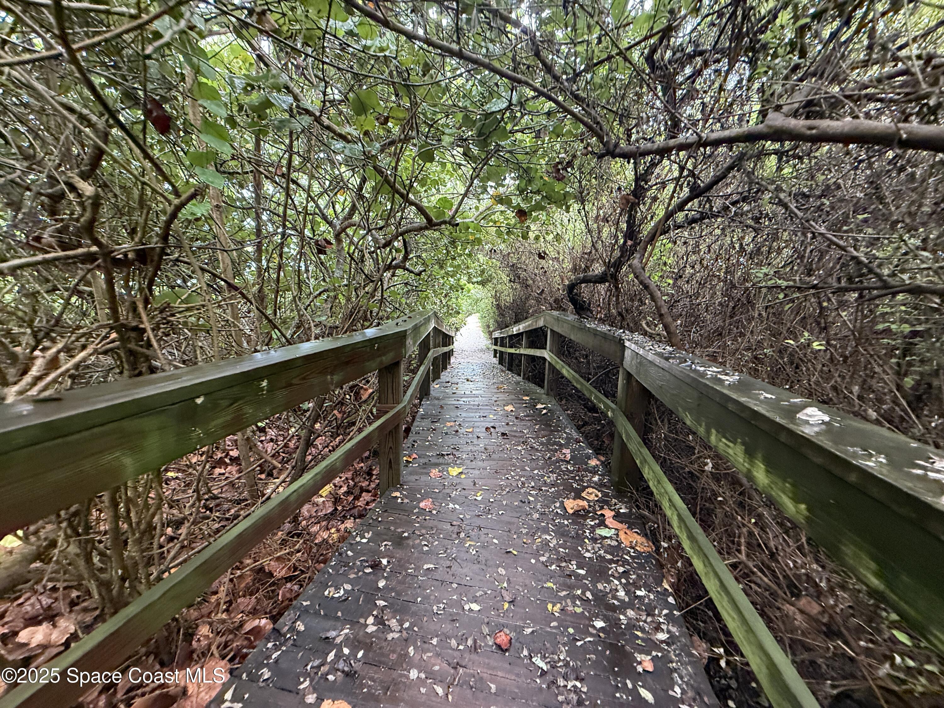 1700 South Atlantic Avenue, Unit 104 Cocoa Beach, FL 32931 - Photo 49 of 55 a view of a pathway with a yard