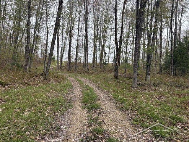 N948 Old Plank Road Wetmore, MI 49895 - Photo 19 of 26