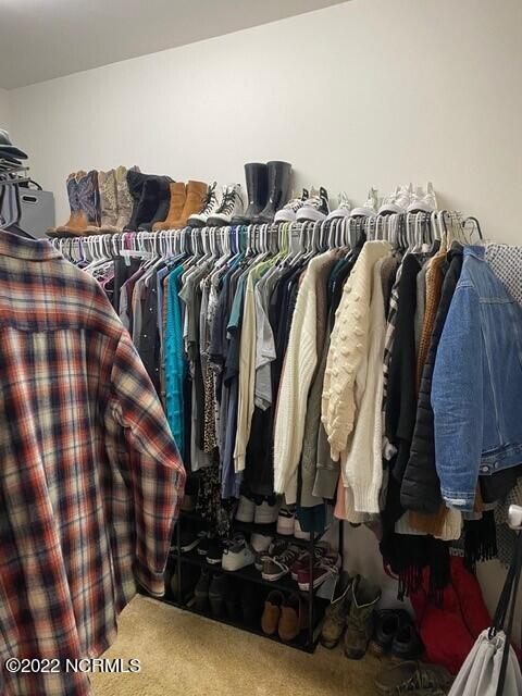 2810 Webbs Chapel Road Macclesfield, NC 27852 - Photo 24 of 35 Primary closet 2