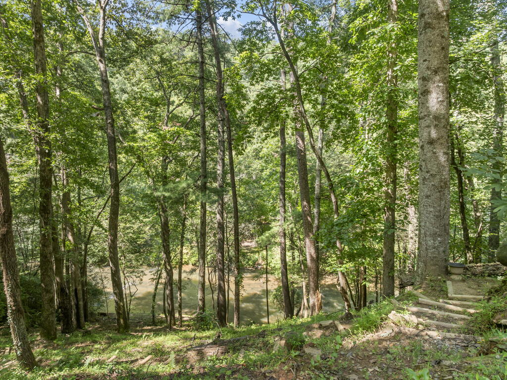 509 Ponderosa Road Ellijay, GA 30540 - Photo 40 of 47 Gallery Image 40