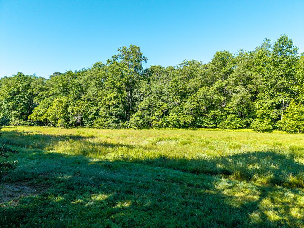 5664 Mobile Road Blue Ridge, GA 30513 - Photo 77 of 81