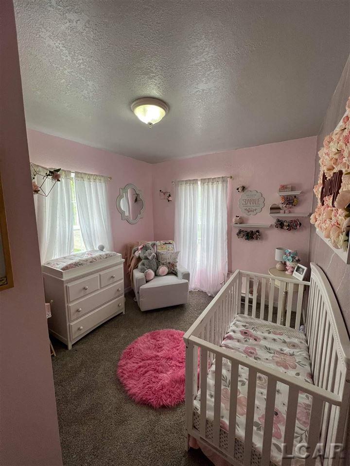204 Locust Street Clinton, MI 49236 - Photo 6 of 29 50075551-5.JPG