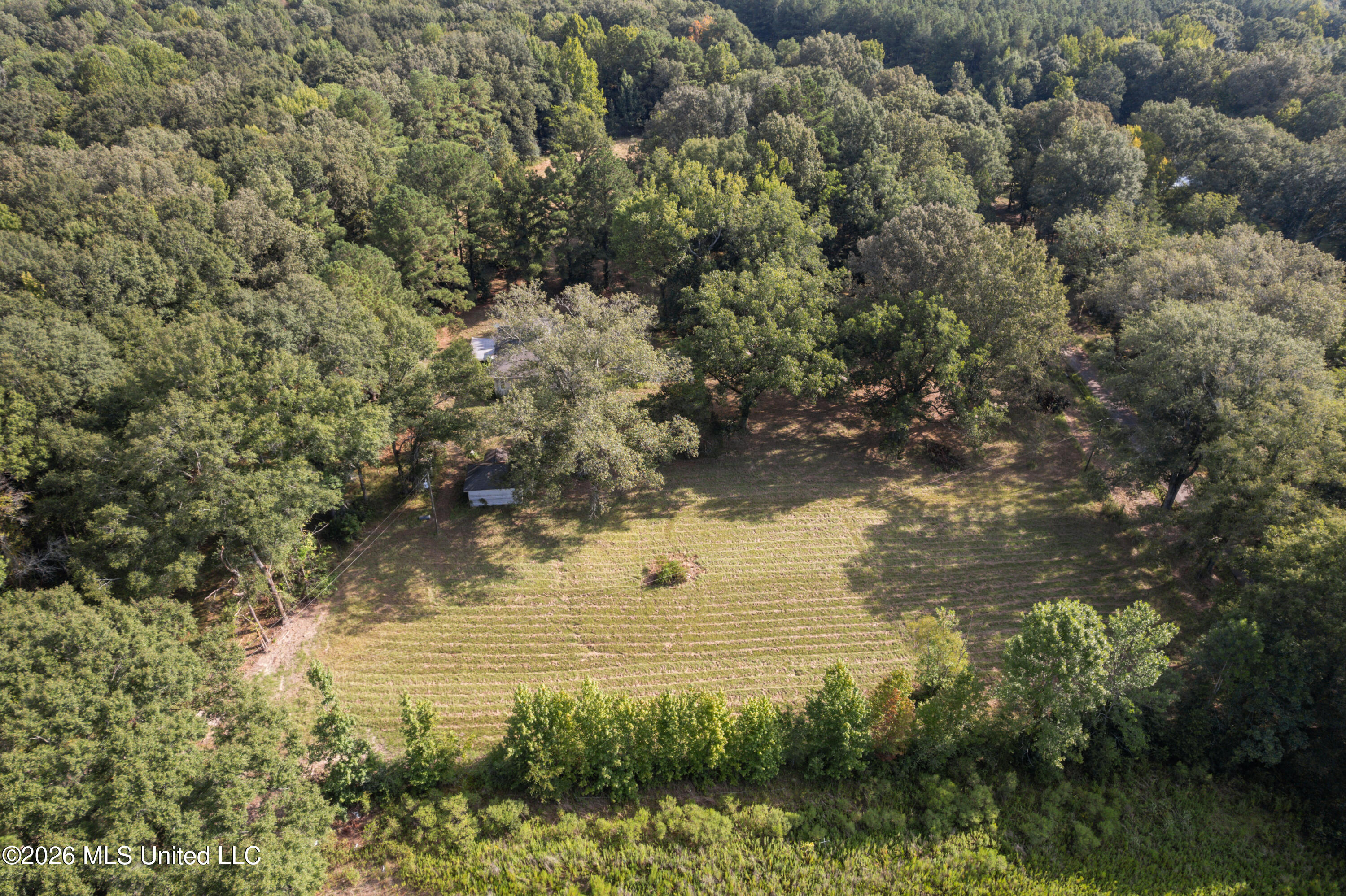 1194 Tom Kyzar Road Morton, MS 39117 - Photo 5 of 31 DJI_0414