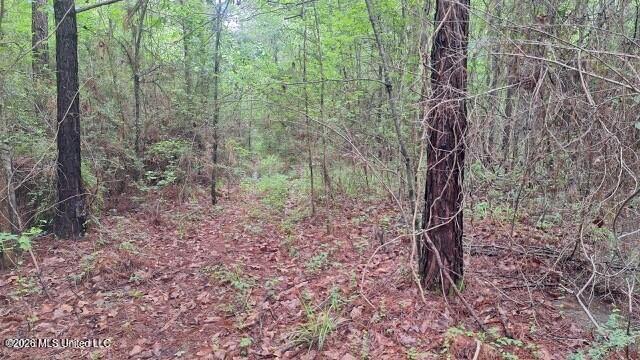 1048 Williamson Road Wesson, MS 39191 - Photo 8 of 11 land 02
