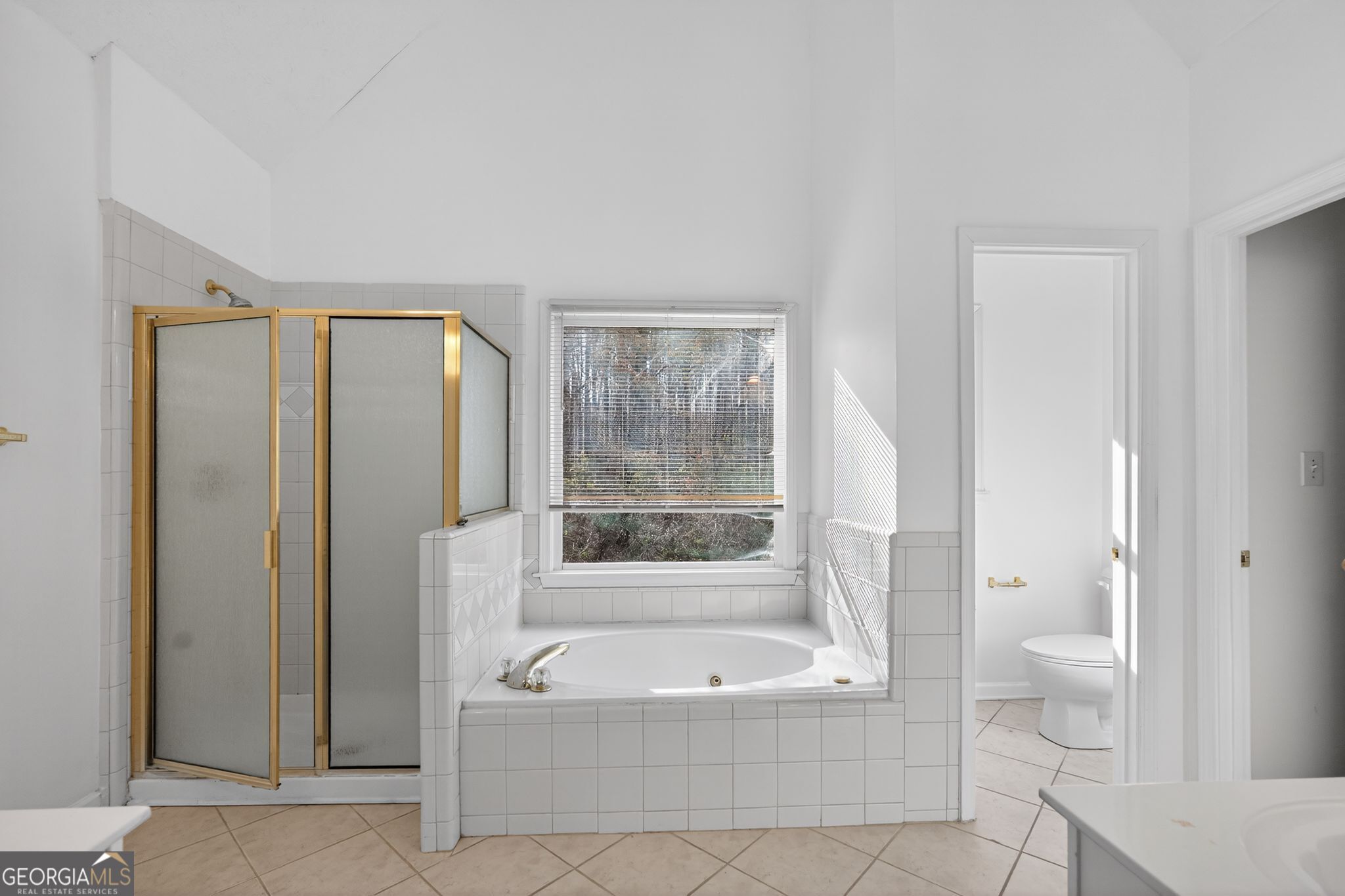 3960 East Saddle Ridge Drive Lithonia, GA 30038 - Photo 22 of 36 a bathroom with a large tub a toilet and a shower