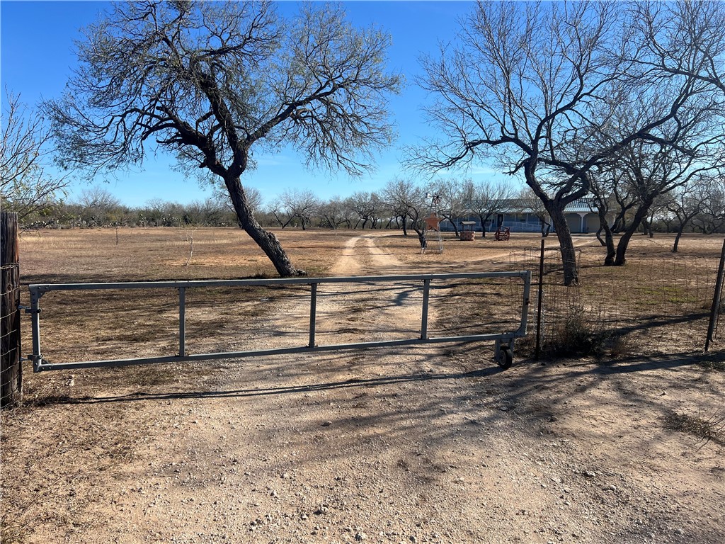 a view of a backyard of the house