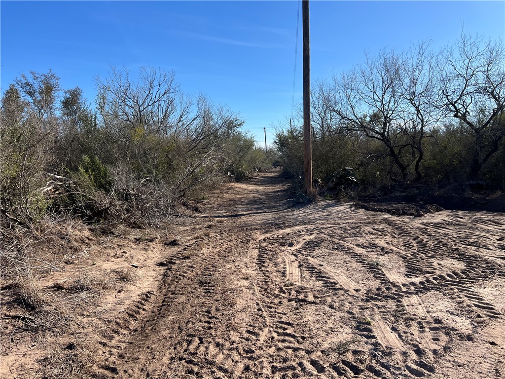 4493 Highway 359 Benavides, TX 78341 - Photo 16 of 20 a view of a yard with trees