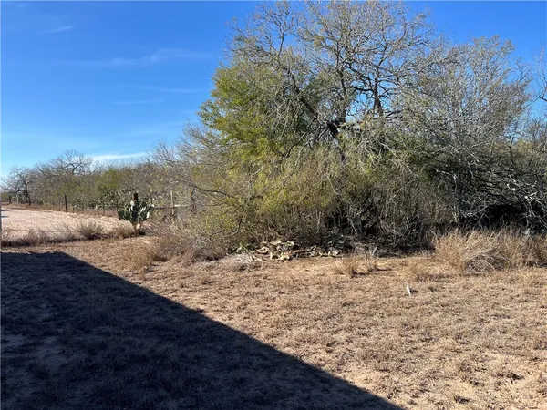 a view of dirt yard