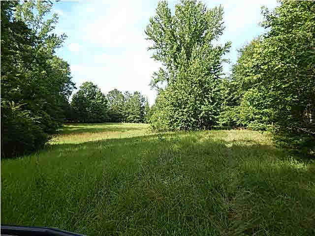 1 State Park Road Durant, MS 39063 - Photo 1 of 11 Photo 1