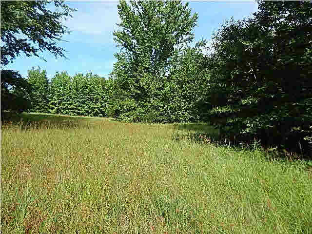 1 State Park Road Durant, MS 39063 - Photo 11 of 11 Photo 11