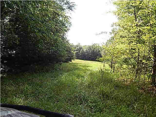 1 State Park Road Durant, MS 39063 - Photo 2 of 11 Photo 2