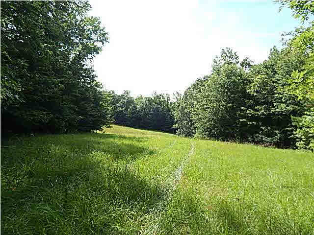 1 State Park Road Durant, MS 39063 - Photo 3 of 11 Photo 3
