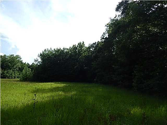 1 State Park Road Durant, MS 39063 - Photo 7 of 11 Photo 7