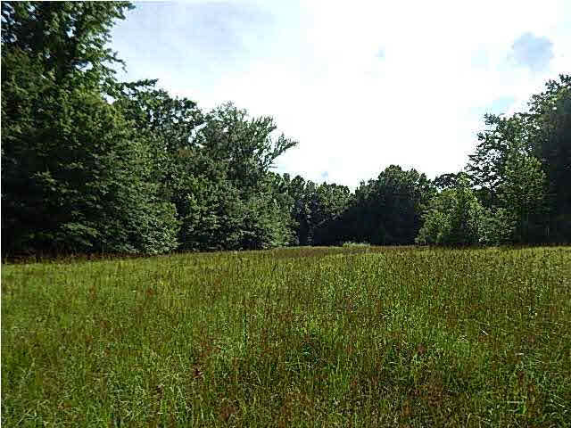 1 State Park Road Durant, MS 39063 - Photo 9 of 11 Photo 9