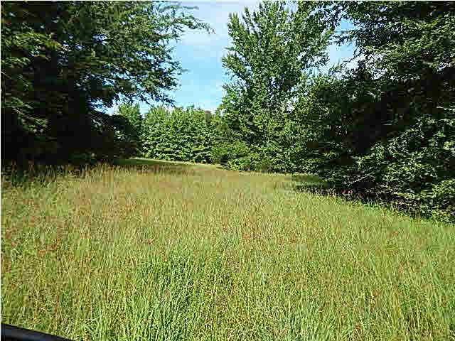 1 State Park Road Durant, MS 39063 - Photo 10 of 11 Photo 10