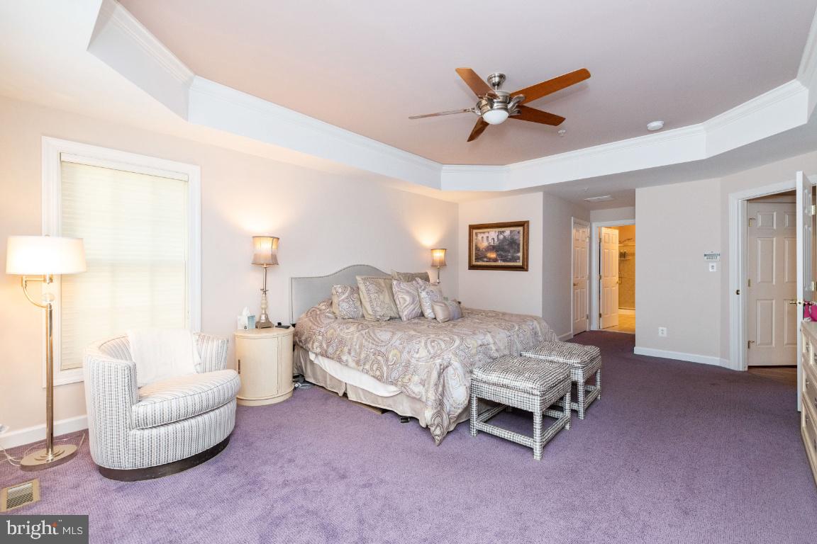 4423 Summer Grape Road Baltimore, MD 21208 - Photo 22 of 55 Primary bedroom with tray ceiling