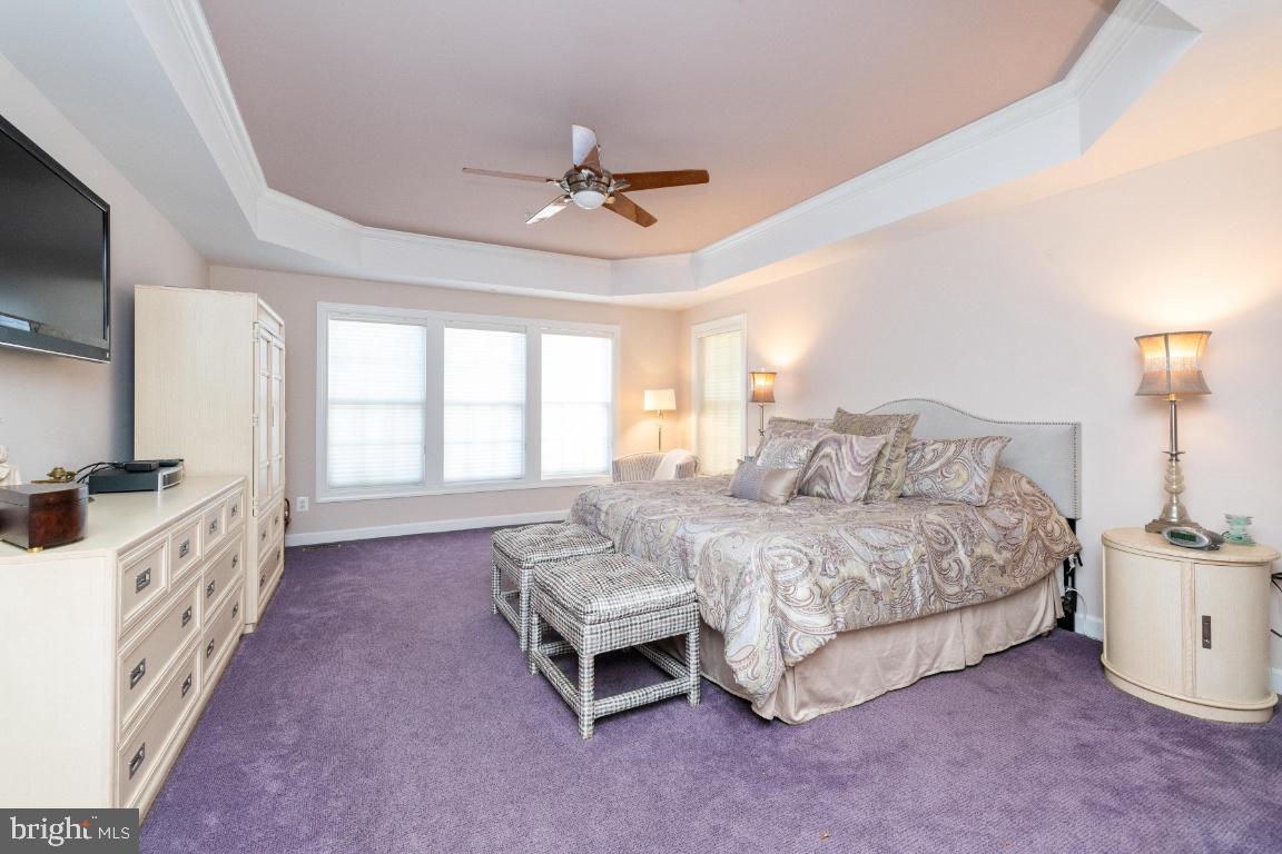 4423 Summer Grape Road Baltimore, MD 21208 - Photo 23 of 55 Main level Primary bedroom
