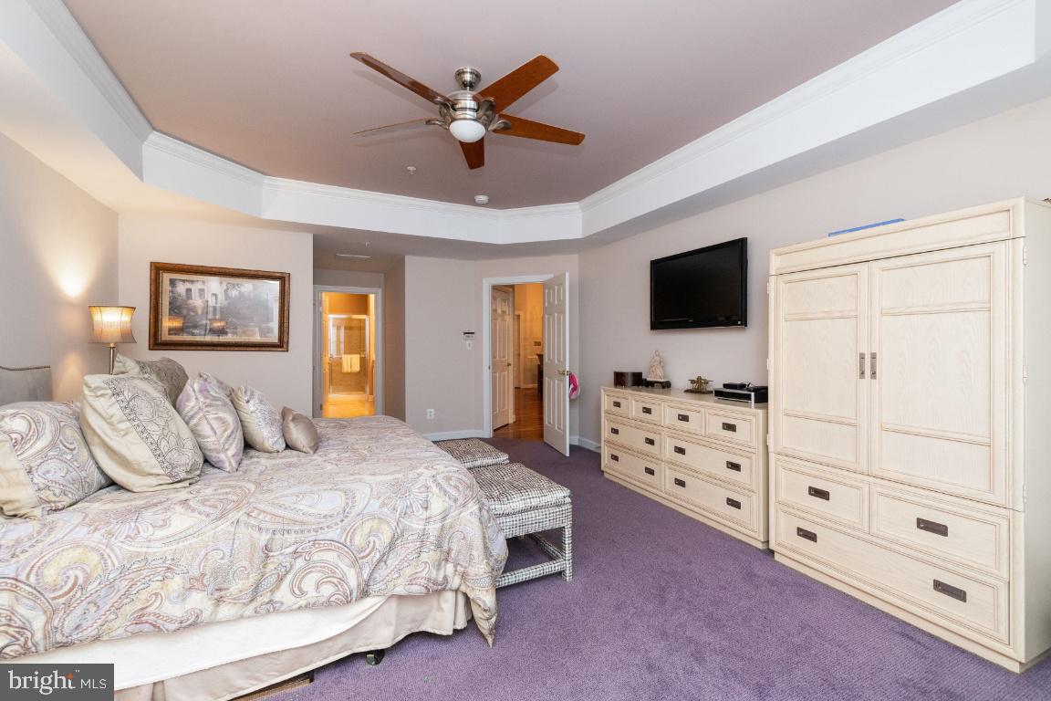 4423 Summer Grape Road Baltimore, MD 21208 - Photo 24 of 55 Main level Primary bedroom