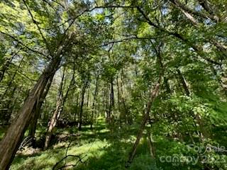 6200 Birdsong Road Concord, NC 28025 - Photo 4 of 8 Gallery Image 4